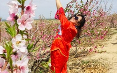 2018一本到国产手机在线